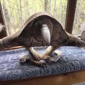 Meet your Posher, Gloria